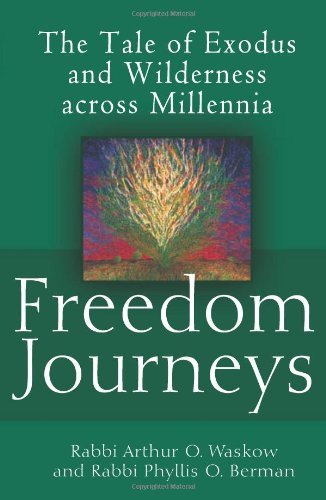 Freedom Journeys: The Tale of Exodus and Wilderness across Millennia