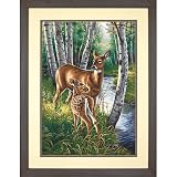 Eigenschaften Dimensions  / White-tailed Deer Malen nach Zahlen mit Acrylfarben