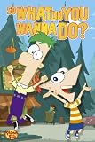 Phineas and Ferb Poster With Perry Wanna Doo