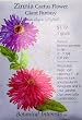 Zinnia Cactus Flower Giant Fantasy Seeds 100 Seeds
