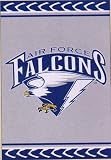 Air Force Academy Falcons Large House Flag Banner