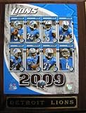 Detroit Lions Picture Plaque