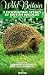 Survival - Wild Britain - Vol. 1 - Valley Beneath The Sea [UK IMPORT]