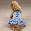Dog Dress - Southern Belle Dog Dress - Blue - X-Small (XS)