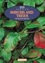 500 Popular Shrubs & Trees for American Gardeners