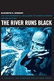 The river runs black : the environmental challenge to China's future
