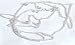 Jewelry : Back Belly Chain Body Jewelery In Silver
