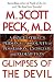 Glimpses of the Devil: A Psychiatrist's Personal Accounts of Possession, Exorcism, and Redemption