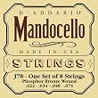 D'Addario Set Mandocello Phos Brz