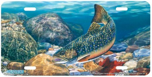 Autumn Brook - Trout Fish Art Print - License Plate by Randy McGovern from Airstrike, Inc.