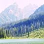 Mountain Rock