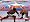 Ultimate Fighting Championship