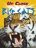 Big cats