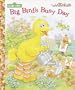 Big Bird's Busy Day (Jellybean Books(R))
