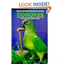 Conures