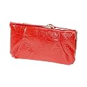 ALDO Chionchio - Clearance Handbags