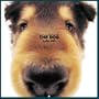 Artlist Collection the Dog 2005 Calendar Collie (Multilingual Edition)
