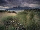 Photo Jigsaw 17x12 (43x30cm) Murlough Nature Reserve from National Trust Photo Library
