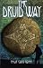 Book The Druid Way: A Journey Through an Ancient Landscape