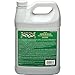 General Finishes Arm-R-Seal Oil Based Topcoat, 1 Pint, Gloss