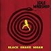 Black Snake Moan