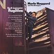 I'm a Lonesome Fugitive