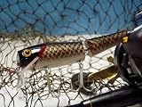 St.Clair Bait Co. Musky Minnow - Sucker - Muskie Lure