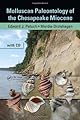 Molluscan Paleontology of the Chesapeake Miocene