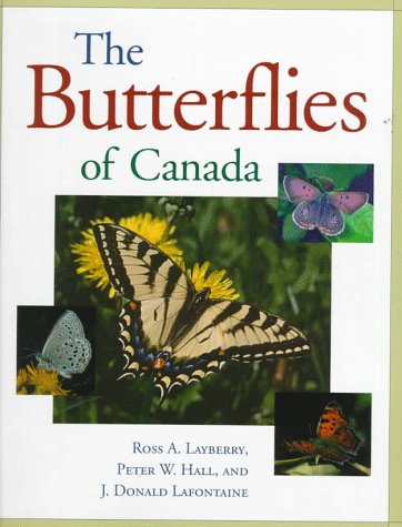 Insects