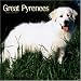 Great Pyrenees 2006 Calendar
