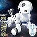 NATAMO Cuddly Interactive Remote Control Electronic Robot Pet Dog Puppy - Go Forward/Backward, Turn Left/Right, Sing, Dance, Crawl, Show, Study, Coquetry