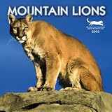 Mountain Lions 2005 Calendar