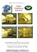 Rapid Prototyping Solutions (with 3D CAD/ ProE, the Zcore, the Stratasys Fused Deposition Modeling (FDM), the 3D Systems StereoLithography, (SLA), and ... with in-depth practical demonstrations)