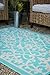 Fab Habitat Venice Indoor/Outdoor Recycled Plastic Rug, Cream & Turquoise, (4' x 6')