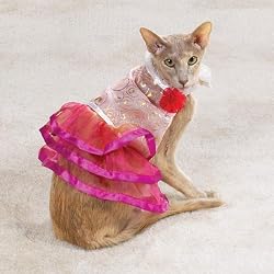 Zanies Princess Cat Costume One Size