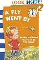 Beginner Series - A Fly Went By