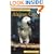 Pet Owner's Guide to the African Grey Parrot