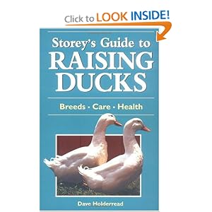 Click here to buy Storey's Guide to Raising Ducks: Breeds, Care, Health by Dave Holderread.