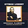 Nouveau Flamenco 2000 Tenth ~ Ottmar Liebert