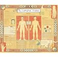 Acupuncture (Great Wall Chart) by
