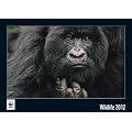 WWF Wandkalender Wildlife 2012