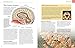 The Brain Book: Development, Function, Disorder, Health