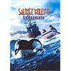 Sauvez Willy 3, la poursuite
