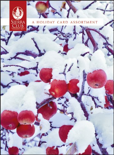 Nature's Details Boxed Holiday Cards