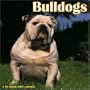 Bulldogs 2007 Wall Calendar