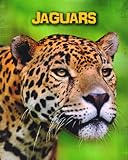 Jaguars