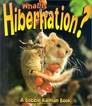 What is hibernation?