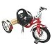Schwinn Roadster 12-Inch Trike (Multiple Colors)