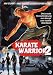 Karate Warrior 2
