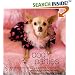 Dog Parties: Entertaining Your Party Animals